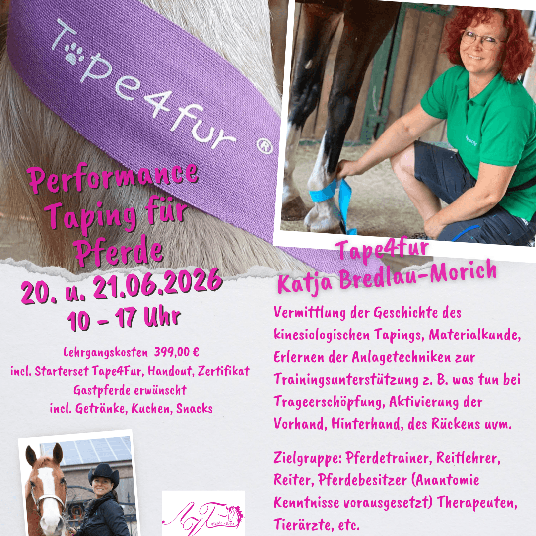 Performance Taping für Pferde