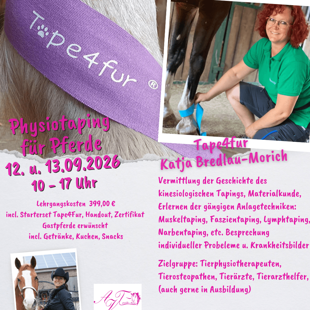 Physiotaping für Pferde
