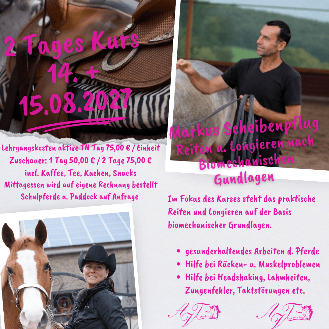 Reiten & Longieren nach biomechanischen Grundlagen