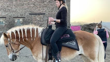 Reitunterricht