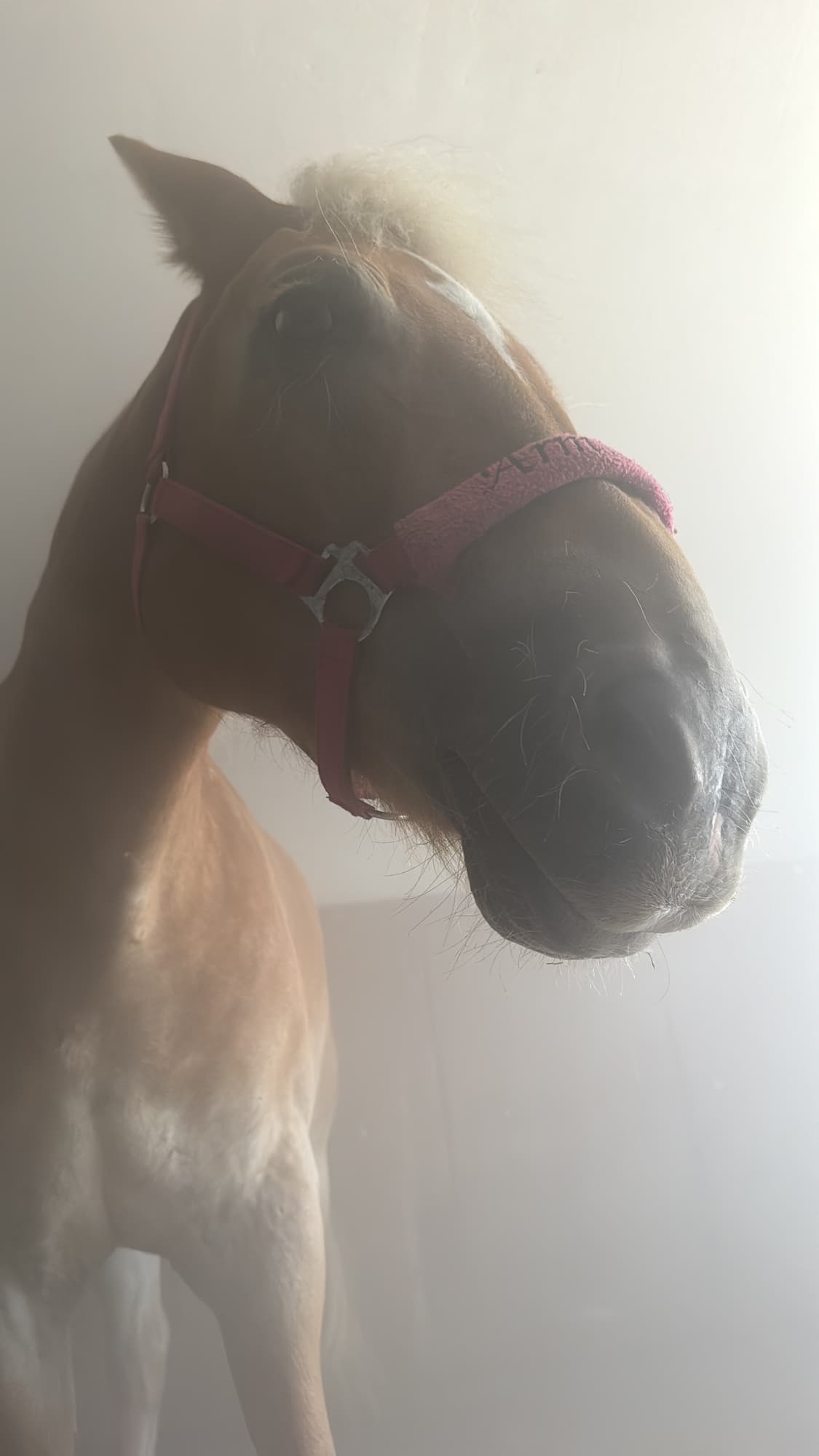 Soletherapie