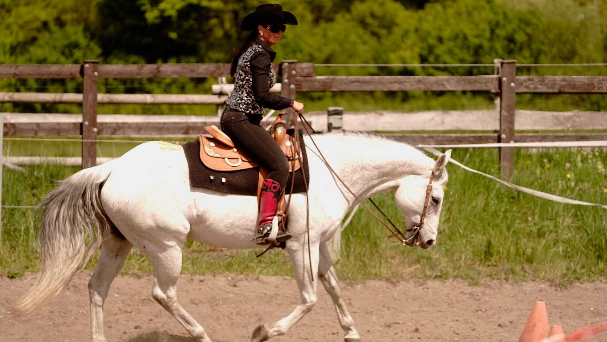 Westernreiten